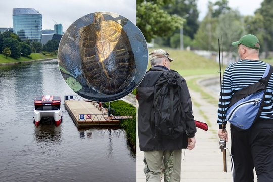 Tai, kokį gyvūną dabar galima pamatyti Neryje, nustebintų ne vieną: „Šių dienų realybė“