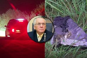 Mečys Laurinkus. Pavojus realus ir jam reikia ruoštis