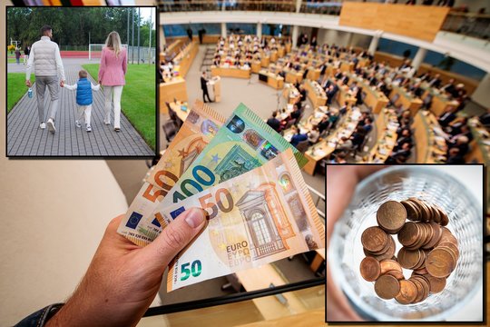 Vis gilėjančiai krizei spręsti – šimtai milijonų, bet tikroji problema – visai kitur
