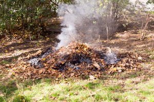Nuo šio rudens – naujos taisyklės gyventojams: kur nebegalima deginti lapų ir žolės ir ką su jais daryti