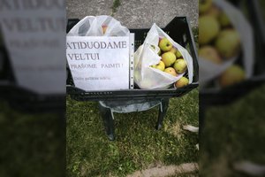 Graži klaipėdiečių iniciatyva patiko ne visiems: negalėjo patikėti, kad taip galėjo pasielgti suaugę žmonės