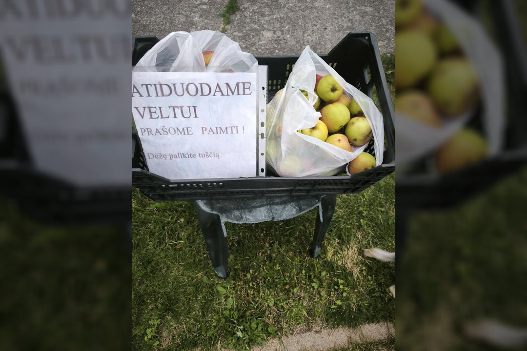 Graži klaipėdiečių iniciatyva patiko ne visiems: negalėjo patikėti, kad taip galėjo pasielgti suaugę žmonės