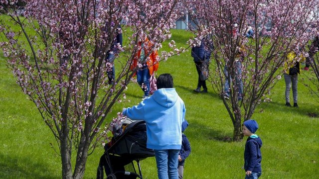 Dėl demografinės krizės beda pirštu į pajamų nelygybę: „Su kiekvienu vaiku atotrūkis auga“