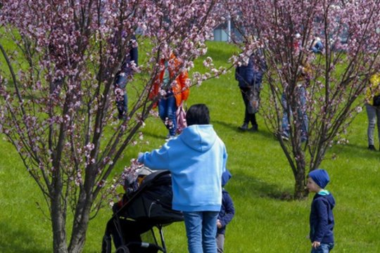 Dėl demografinės krizės beda pirštu į pajamų nelygybę: „Su kiekvienu vaiku atotrūkis auga“