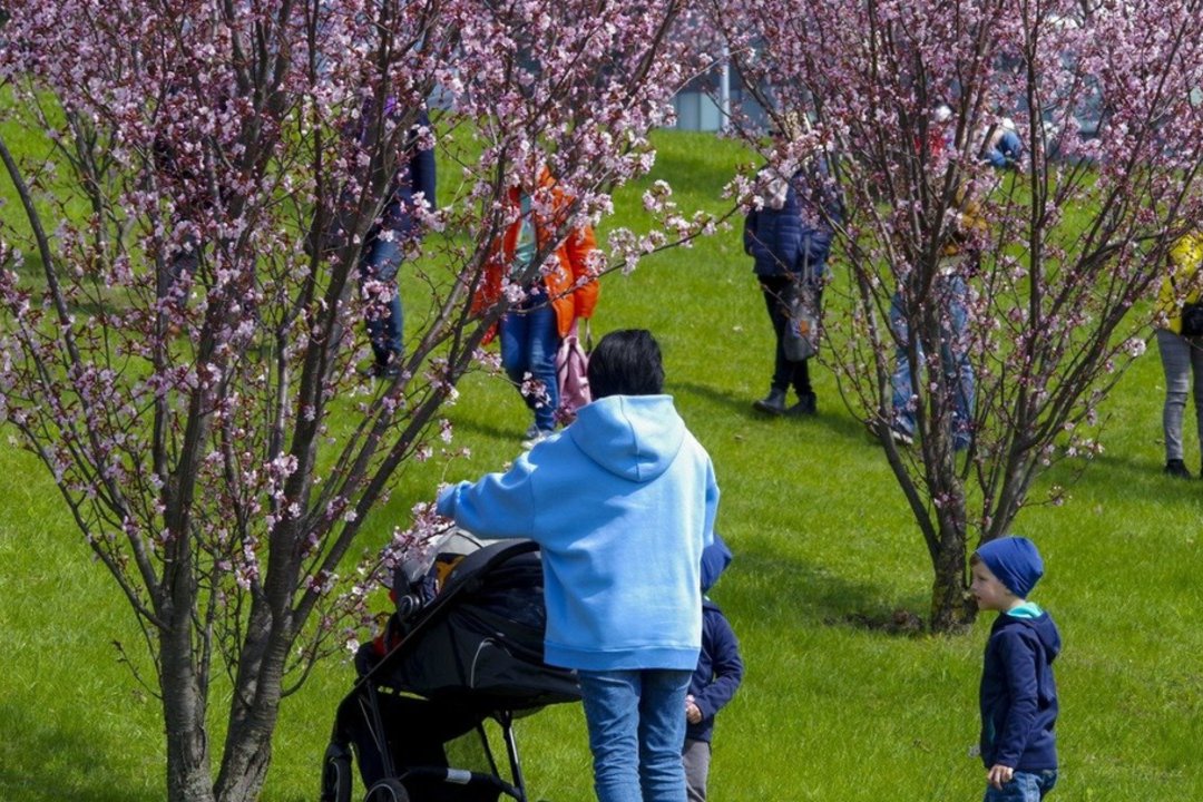 Dėl demografinės krizės beda pirštu į pajamų nelygybę: „Su kiekvienu vaiku atotrūkis auga“