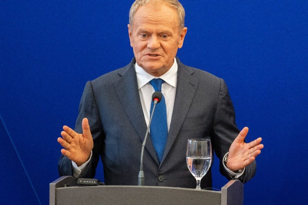 Kiek iš tiesų grėsminga padėtis Rytų Europoje? Ambasadorius išskyrė keistą Lenkijos elgesio detalę 