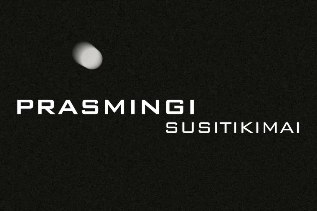 Pokalbis su Šopaite ir Gruzdiene apie „Dramblį kambaryje“ ir požiūrio pokyčius, stiprinančius NVO