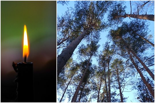 Prokuratūra: su bagiu miške mažametę pražudžiusiam vyrui skirtos 3 kardomosios priemonės, gresia iki 7 metų kalėjimo