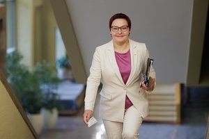 TS-LKD Vilniaus rajone į merus kelia D. Ulbinaitę