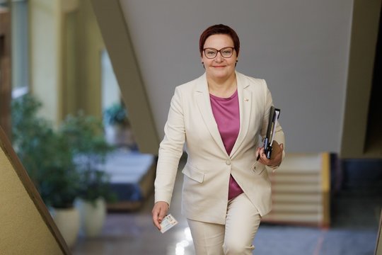 TS-LKD Vilniaus rajone į merus kelia D. Ulbinaitę