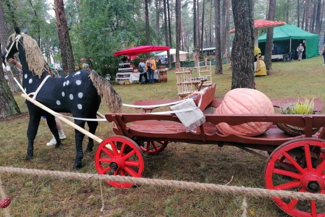 Po grybų šventės jauna varėniškė nepaliauja verkti: „Nežinau, kada atsigaus mergaitė po tokių patyčių“