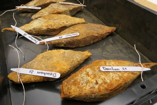 Įspūdingas istorinis radinys: tai būtų leidę apginkluoti visą kariuomenę
