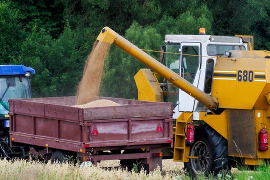 Grūdų derlius ūkininkų nenuvylė, tačiau išryškėjo kita skaudi problema