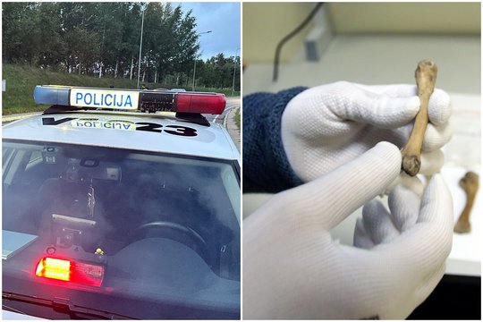 Raseinių rajono miške rasti žmogaus kaulai