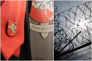 Prokuratūra siekia pasiųsti į kalėjimą pramogų parke nepilnametę išžaginusį vyrą