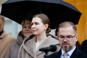 Vertinti nenorėjo, bet įvertino: tarp eilučių – D. Šakalienės žinutė R. Kaunui