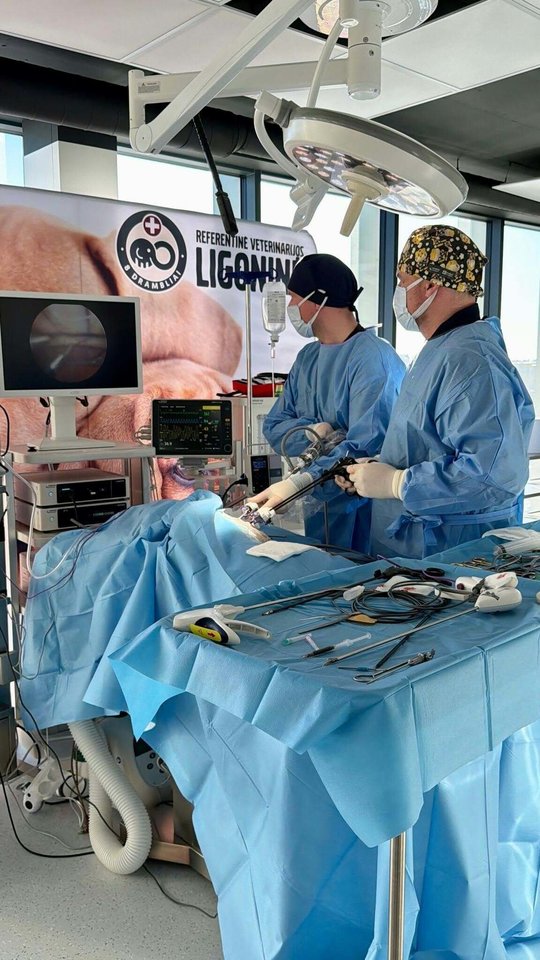 „8 dramblių“ veterinaras Vytautas Sabūnas.<br> Asmeninio archyvo nuotr.