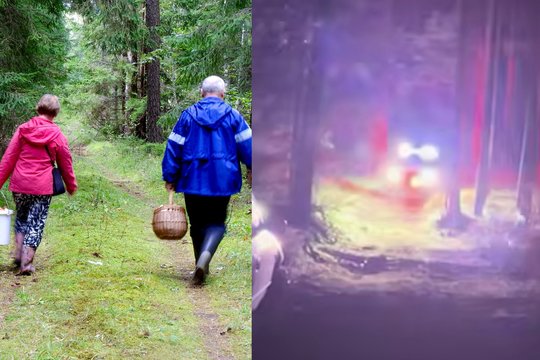 Negalėjo net įsivaizduoti, kaip baigsis grybavimas: išėjo ryte, o vakare jau teko šauktis pagalbos