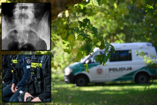 „Spirginamos“ gaujos byloje – pikantiškos detalės ir netikėti posūkiai