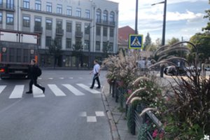 Akį traukia, tačiau labai nesaugu: vairuotojai pro gėlynus negali įžiūrėti pėsčiųjų