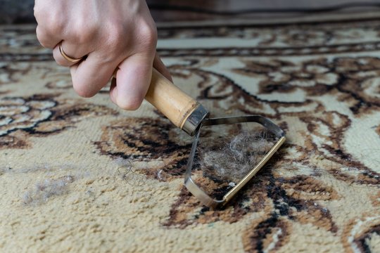 Iš kilimo ištraukia stulbinantį kiekį nešvarumų: 45 mln. peržiūrų sulaukęs būdas turi vieną kabliuką