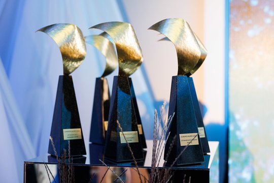 Pokyčių banga nuvilnijo per Lietuvą: Prezidentūroje pagerbti „Europos burių 2026“ laureatai