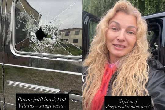 V. Jakučinskaitė paviešino, ką rado grįžusi prie automobilio Vilniaus centre: „Laukiu policijos“