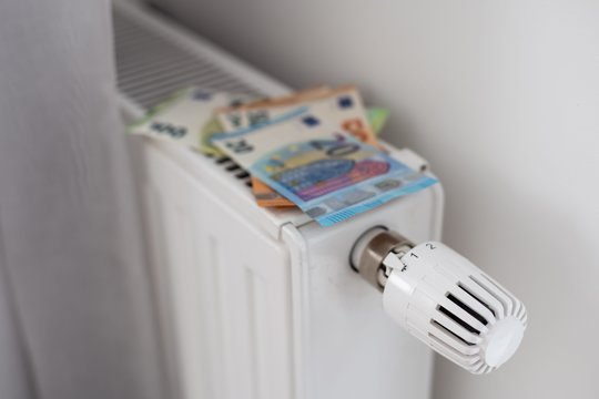 Energetikos reguliavimo taryba: aiškesnė biokuro kainų kryptis paaiškės tik lapkričio pabaigoje