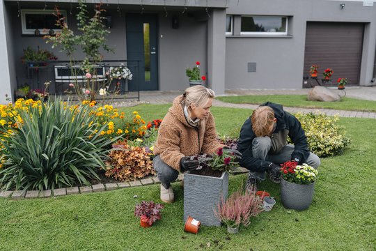 Pavasarį šliužų neatsiginsite, jei dabar neatliksite šių darbų: ką būtina pašalinti kieme