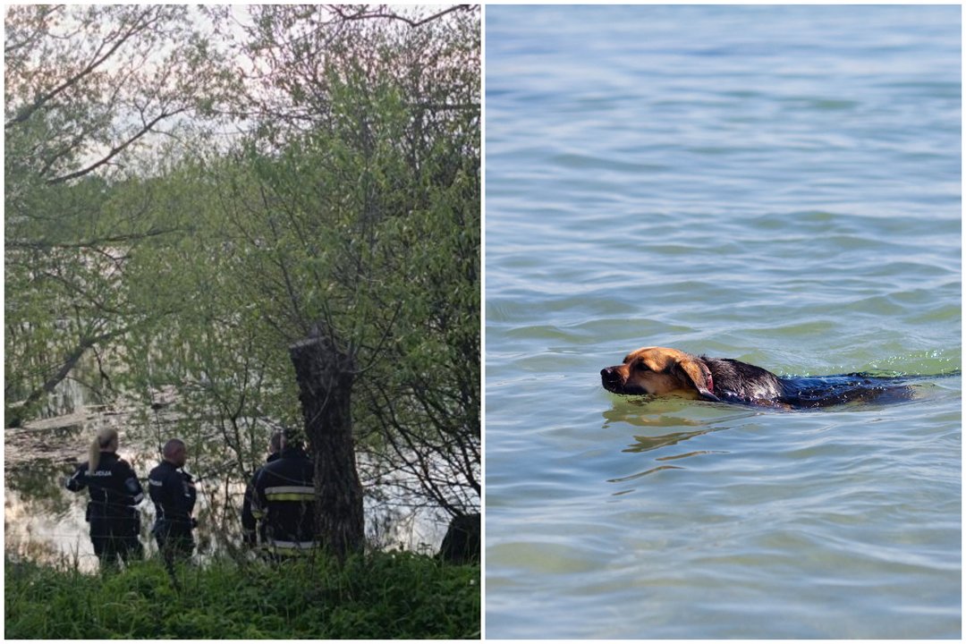 Kraupus radinys Nevėžio upėje: lėkė spec. tarnybos, pradėtas tyrimas