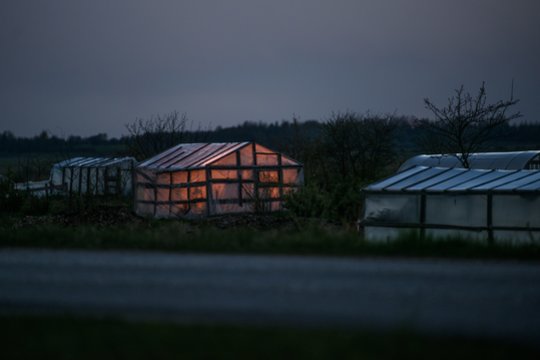 Lietuvoje praėjusią naktį užfiksuotos pirmosios šalnos