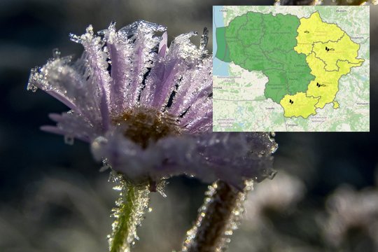 Daliai Lietuvos – perspėjimas dėl ateinančios nakties: gali kandžiotis šalnos