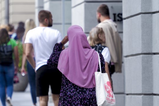 Trys mitingai dėl imigracijos: policija pasiruošusi, V. Sinica ragina kiaulių galvas palikti namuose