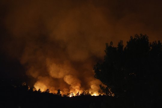 Prancūzijoje užgesintas didžiausias nuo 1949 m. miško gaisras