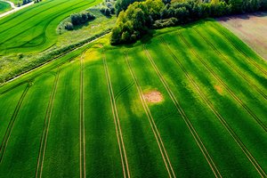 Lrytas „Agroforumas 2026“ kviečia kartu kurti Lietuvos žemės ūkio ateitį: laukiami ūkininkai, verslas ir mokslininkai