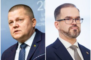 D. Gaižauskas ir R. Kaunas kibo vienas kitam į atlapus: „Rėkti galime visi, o dirbti?“