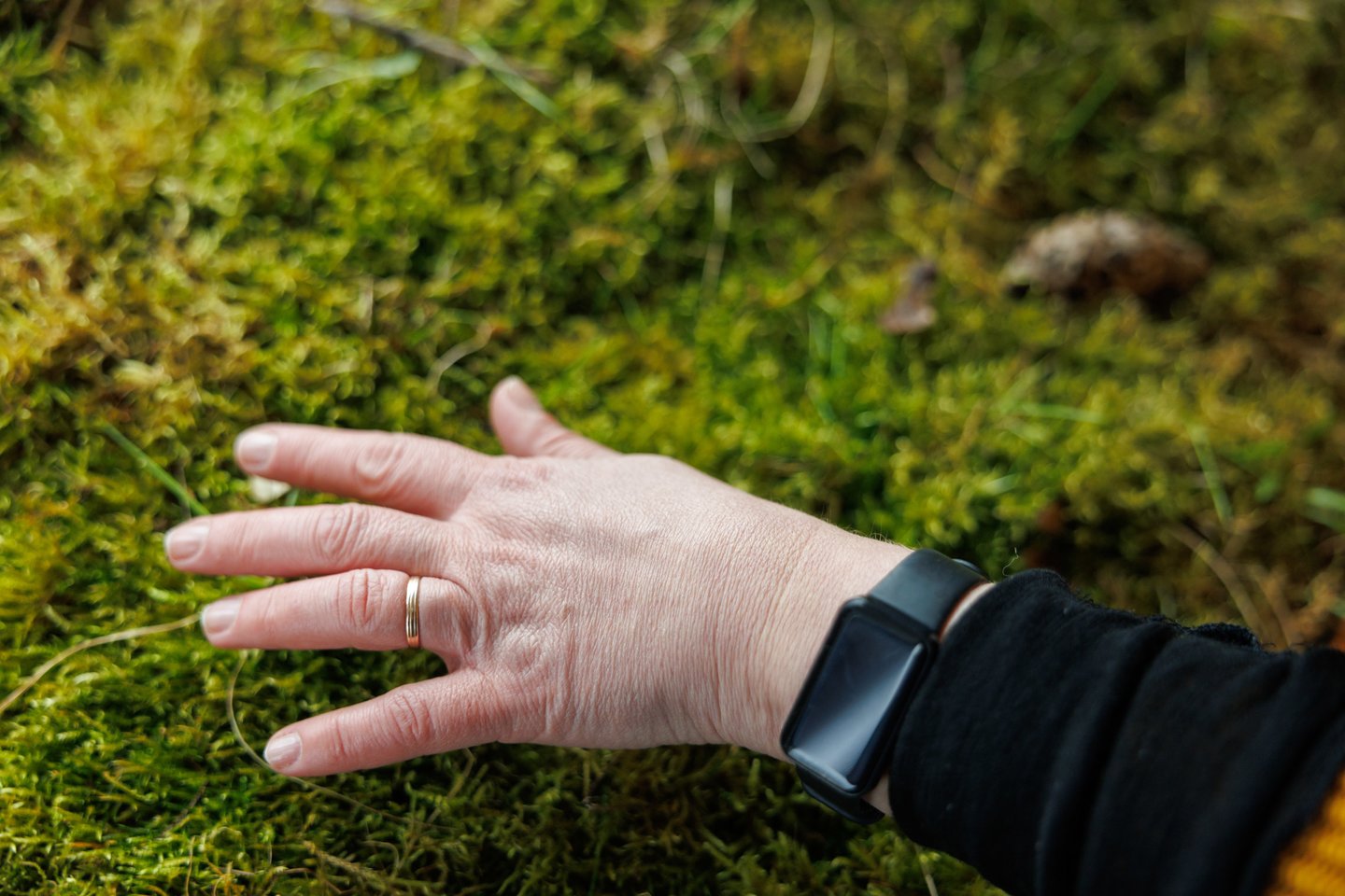 Žiedas.