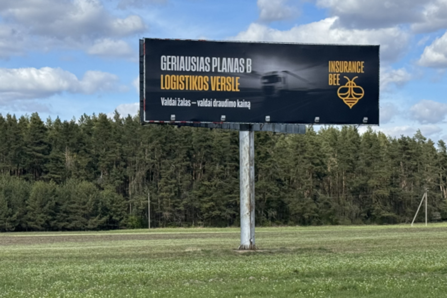 Valdai žalas - valdai draudimo kainą, teigia „Insurance Bee“.