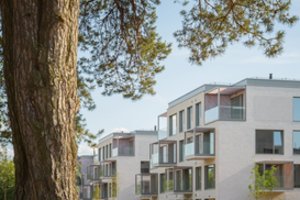 Darnu Group completes first phase of Sakai, with 70% of apartments already sold