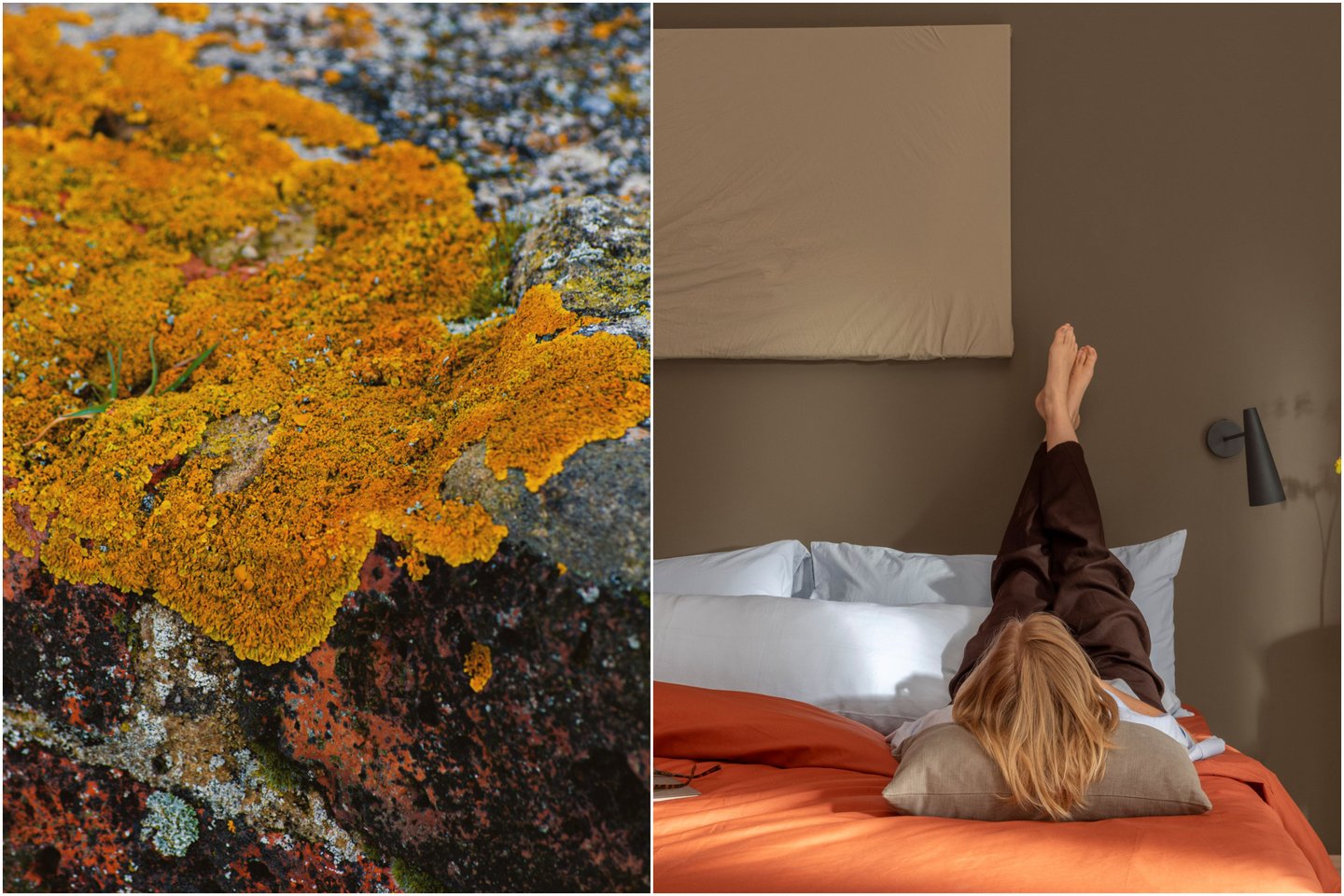 Pristatyta „Tikkurila“ 2027 metų spalva „Heartland“ atspindi būtent šią kryptį – grįžimą prie natūralumo, stabilumo ir ryšio su gamta.<br> Lrytas.lt koliažas.