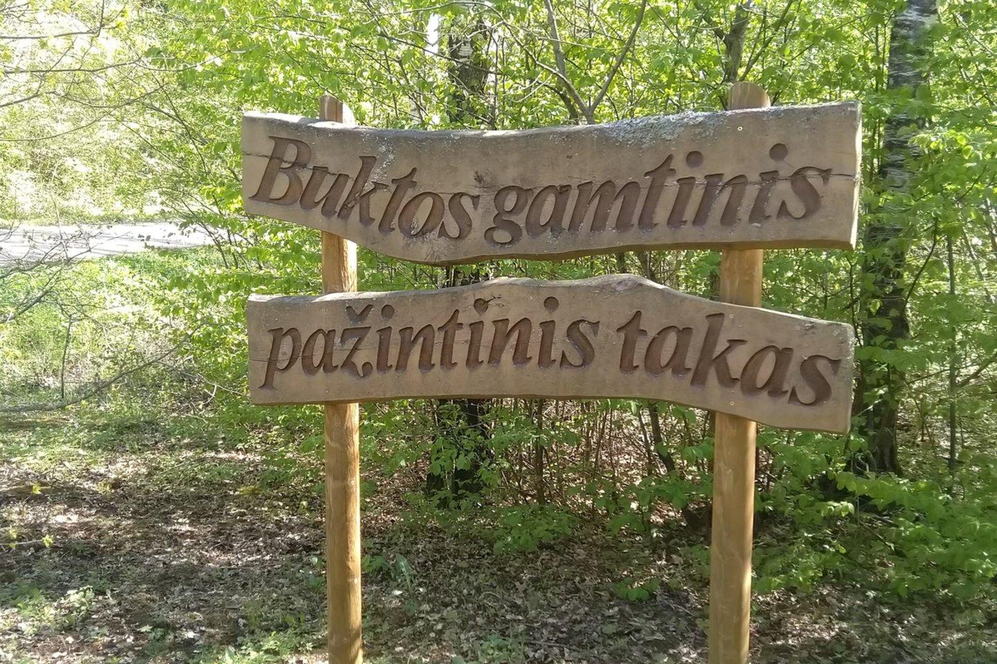 Buktos takas.<br>VMU nuotr.