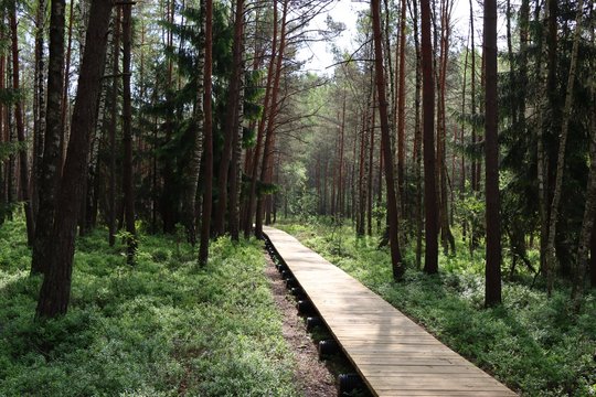 Itin šiltam savaitgaliui – virš 1000 vietų: skelbia nemokamą žemėlapį