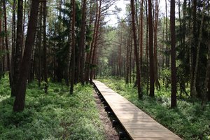 Itin šiltam savaitgaliui – virš 1000 vietų: skelbia nemokamą žemėlapį