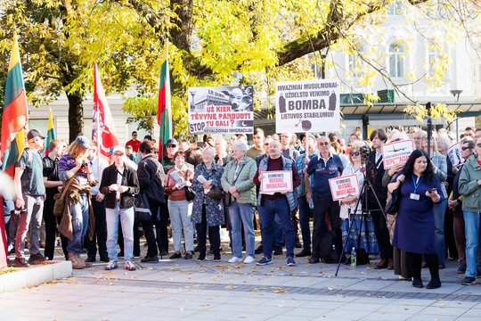 Protestai dėl migracijos Vilniuje: sulaikyti vyras ir moteris, viena dalyvė po smūgio atsidūrė pas medikus