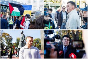 Protestai dėl migracijos Vilniuje: sulaikyti vyras ir moteris, viena dalyvė po smūgio atsidūrė pas medikus