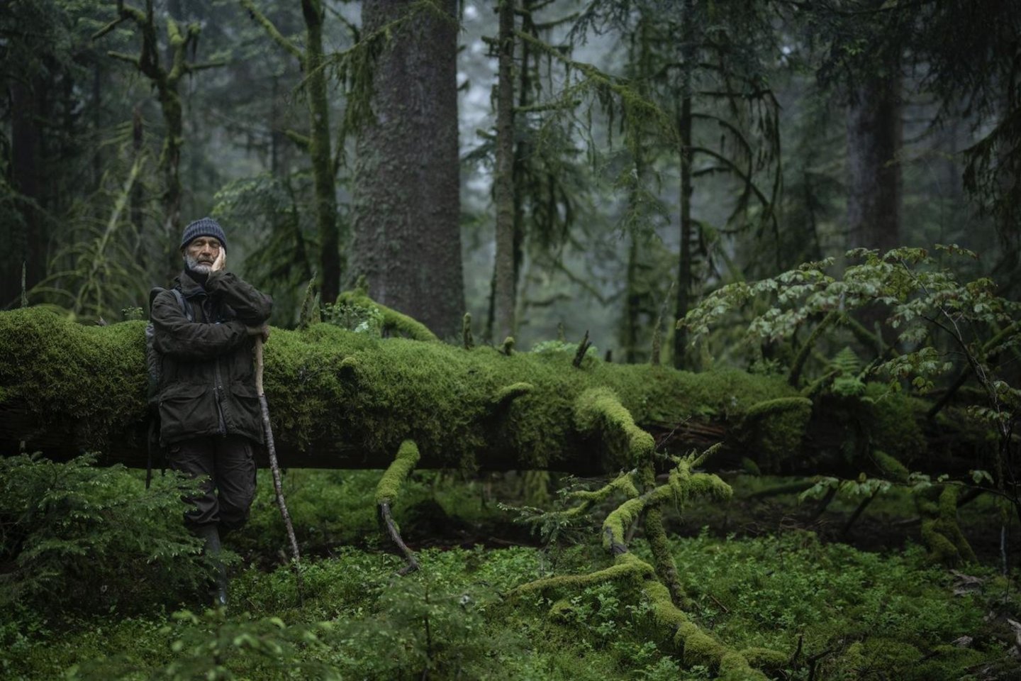 Filmo „Miško šnabždesiai“ kadras.