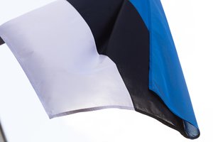 Dėl išaugusio neteisėtų migrantų srauto Estija stiprina kontrolę pasienyje su Latvija