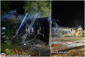 Senutes Šalčininkų r. žudžiusiems ir deginusiems vyrams prokuroras siūlo kalėjimą iki gyvos galvos