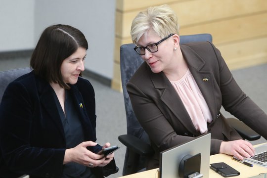 Opozicijai užkliuvo išlaidų eilutės biudžete: „Tiesiog prisidengiama gynybos argumentais“