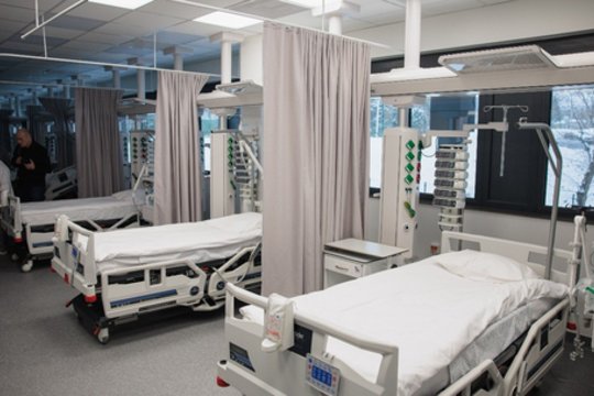 A. Jonkus įvertino maro Rusijoje protrūkio riziką: štai ką žmonėms reikėtų žinoti